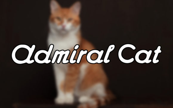 Admiral Cat: A Vintage Handwritten Font for Creative Designs