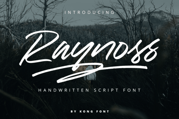Discover Raynoss: A Modern Handwritten Typeface