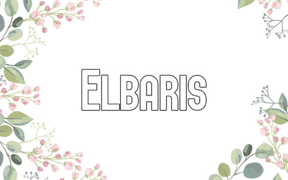 Elbaris: A Creative and Minimalistic Sans Serif Font