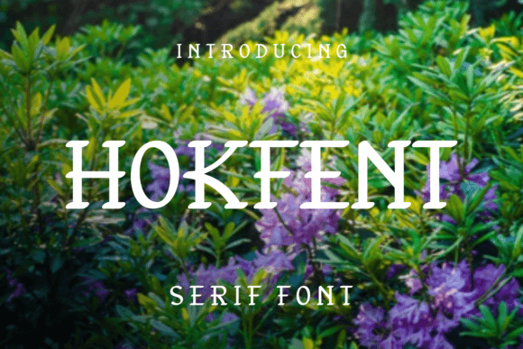 Hokfent: A Playful Serif Font for Creative Projects